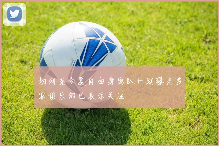 切利克今夏自由身离队计划曝光多家俱乐部已表示关注